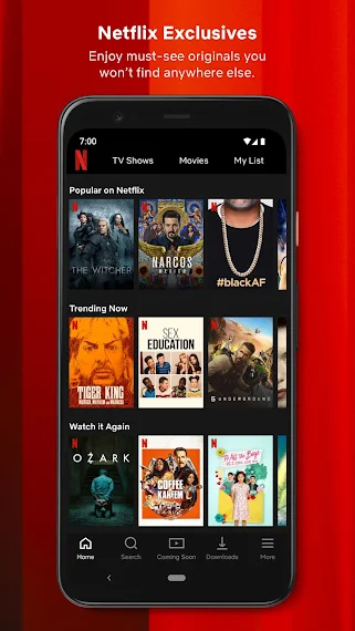 Netflix Mod Apk