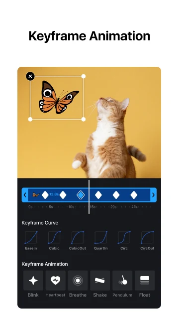 VN Video Editor Mod Apk